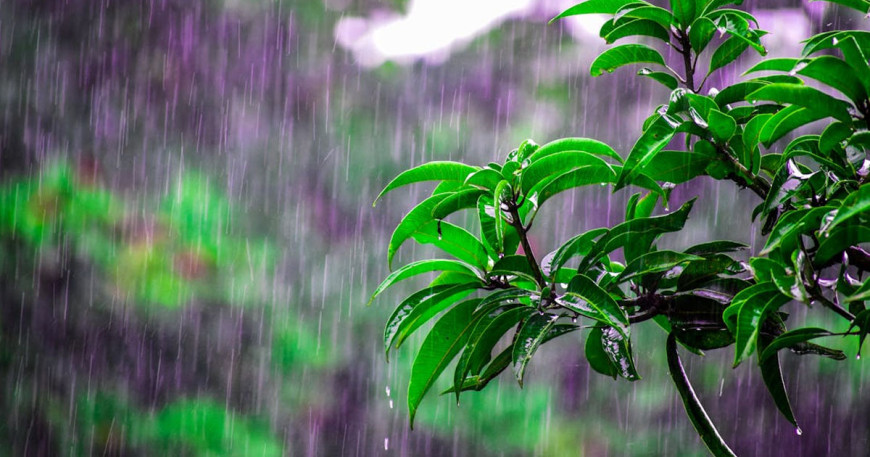 सुदूरपश्चिममा वर्षाको सम्भावना