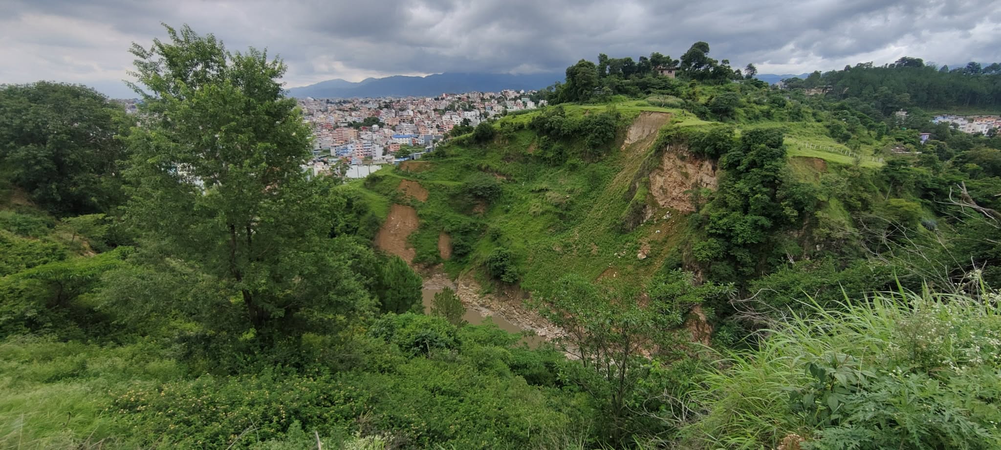 Chovar-galchi13-1751627786.jpg