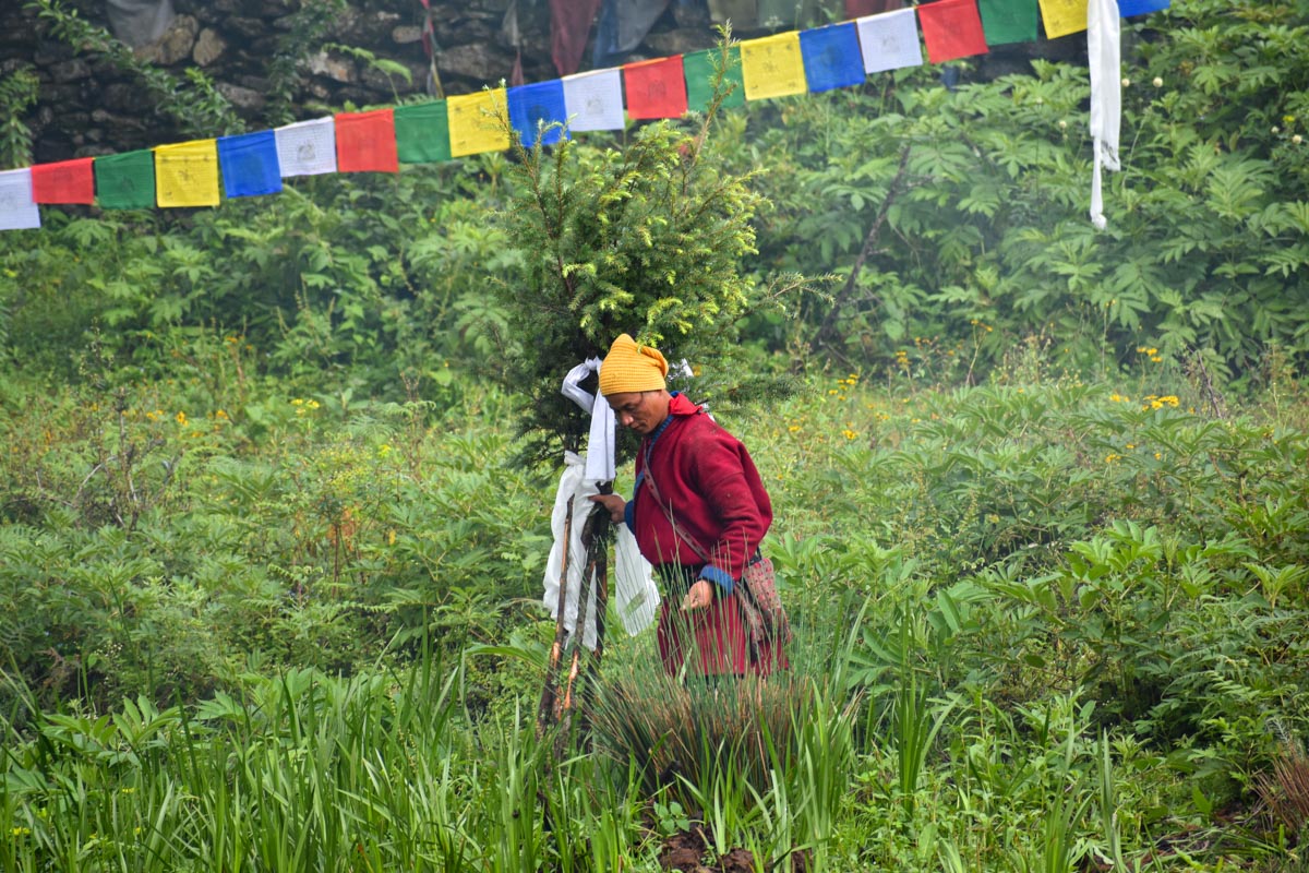 Gatlang_Sunil-pradhan_12khariphoto-(11)-1754722262.jpg