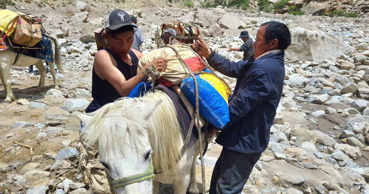 Humla-Badhi-1747821262.jpg