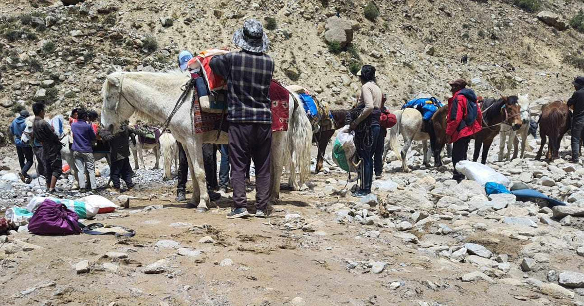 Humla-Badhi12-1747821262.jpg