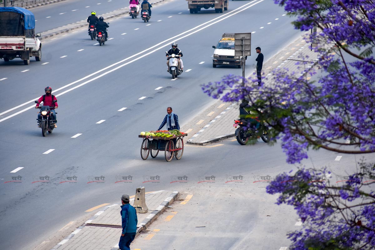 Jacaranda_SunilPradhan_12khariphoto-(12)-1746171385.jpg