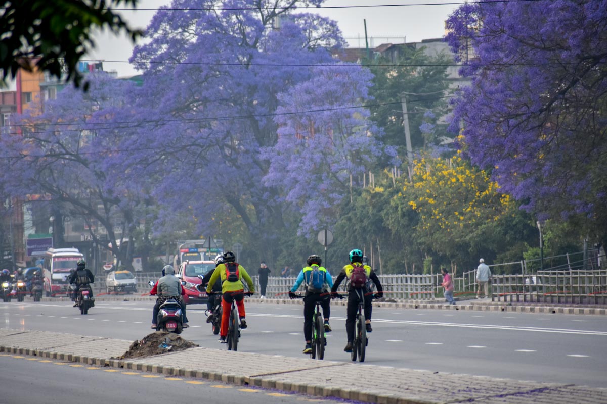 Jacaranda_SunilPradhan_12khariphoto-(13)-1746171384.jpg