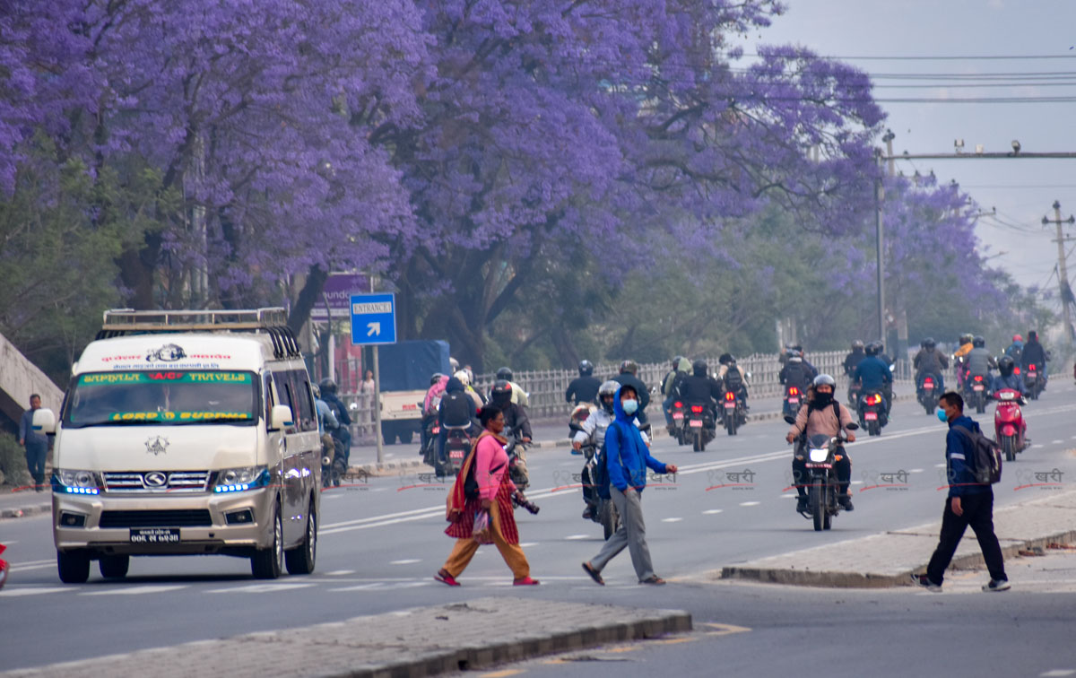 Jacaranda_SunilPradhan_12khariphoto-(14)-1746171384.jpg