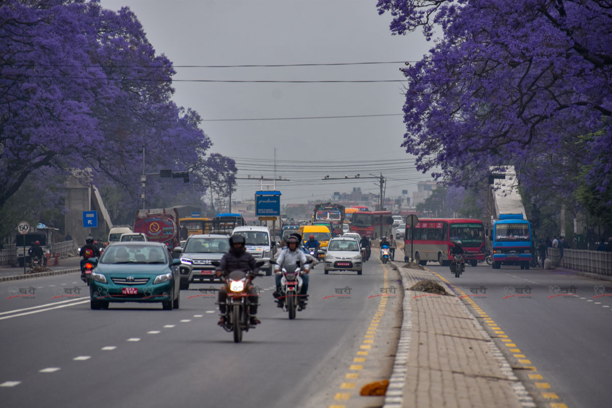 Jacaranda_SunilPradhan_12khariphoto-(17)-1746171384.jpg