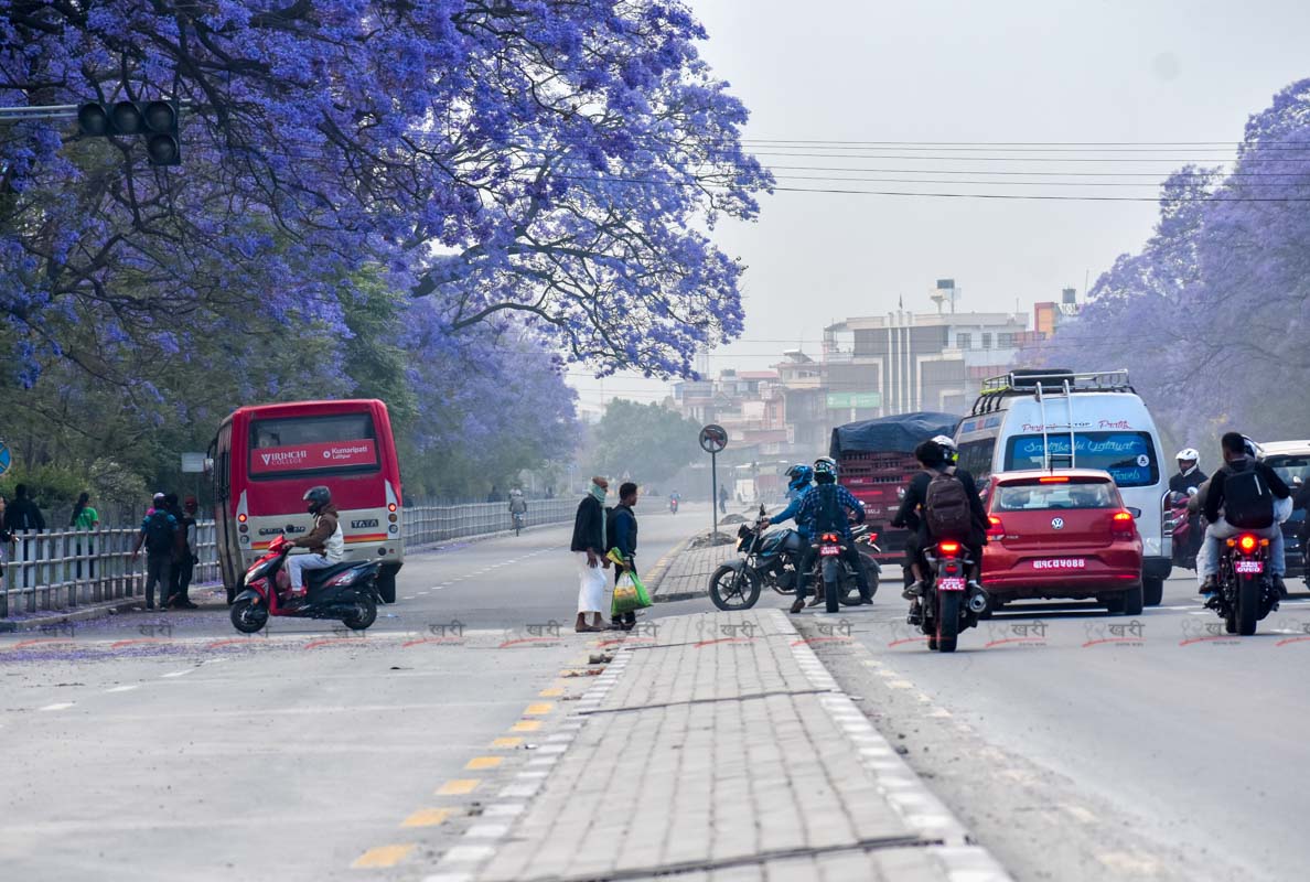 Jacaranda_SunilPradhan_12khariphoto-(24)-1746171383.jpg