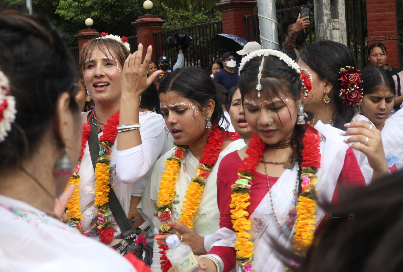 Jagannath_rath_yatra_sunilpradhan_12khariphoto-54-1720353336.jpg