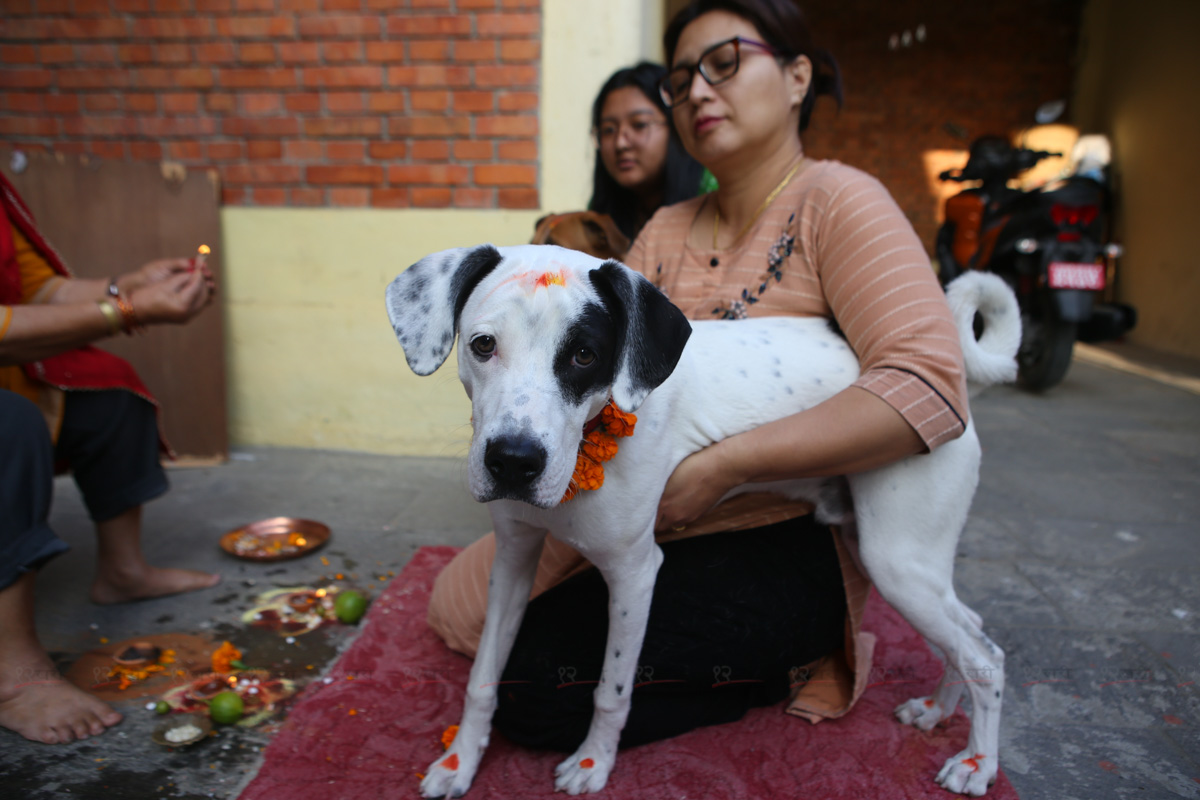 Kukur_tihar_SunilPradhan_12khariphoto-(2)-1730359399.JPG