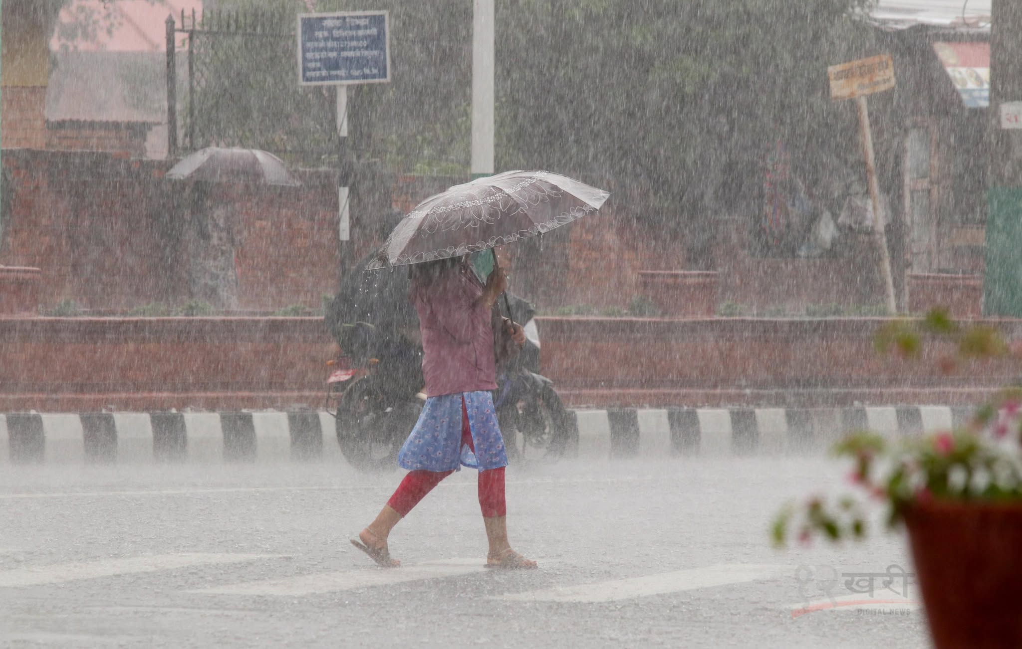 Mausam-Barsha-Paani-Kathmandu-Rain-(22)-1749797965.jpg