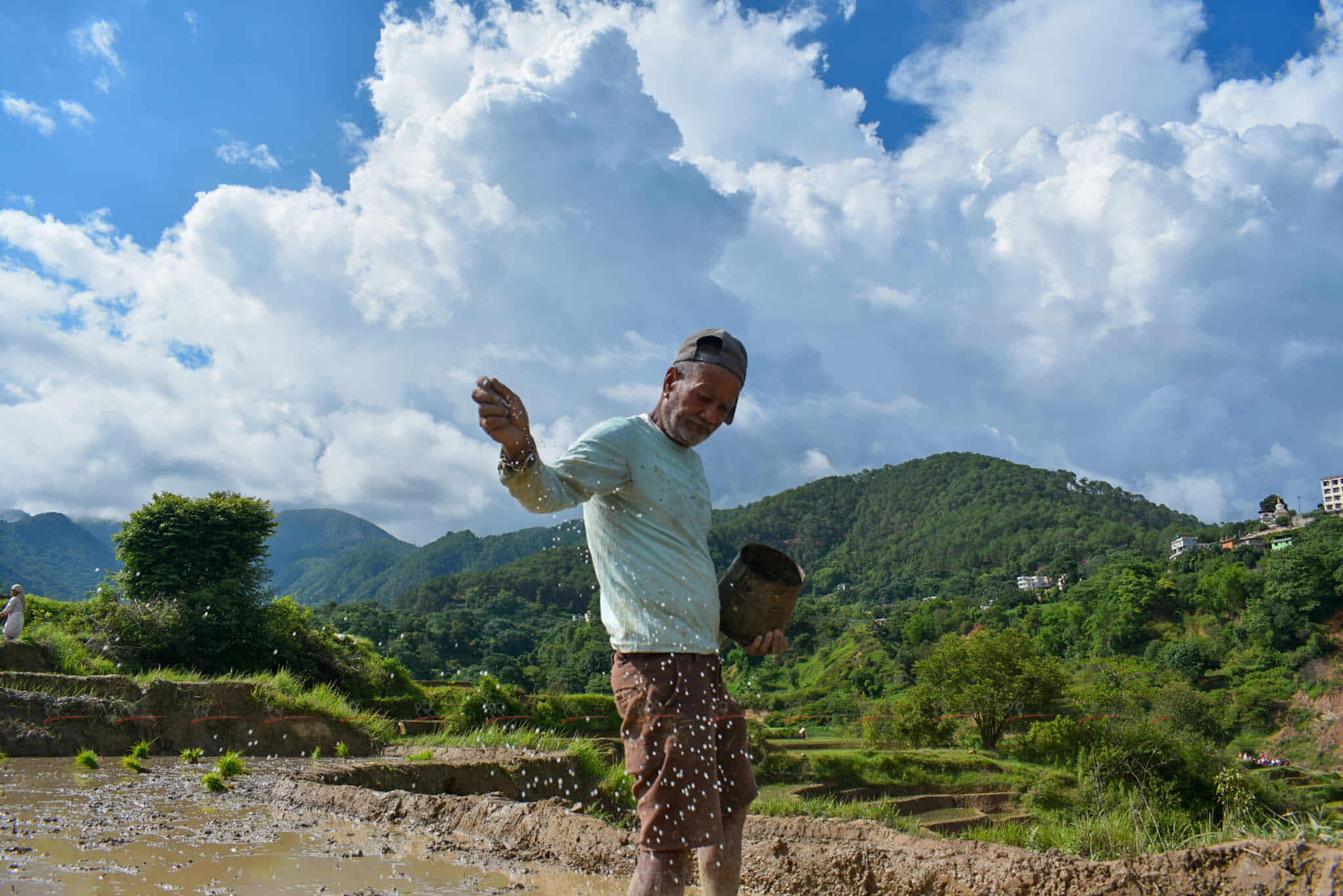 Ropai_kisan-(7)-1750948076.jpg