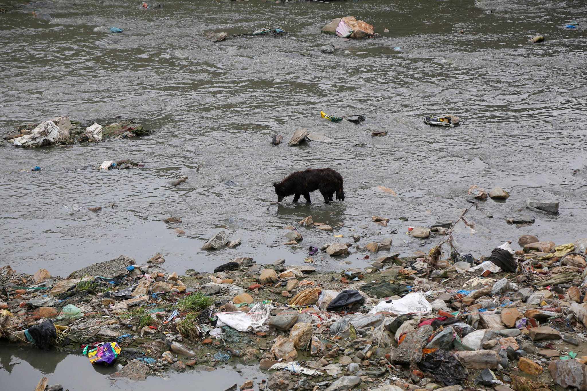 bagmati-(9)-1749970688.jpg
