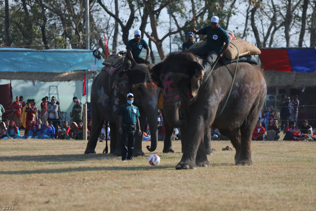 elephant_festival_SunilPradhan_12khariphoto-(10)-1735217549.jpg