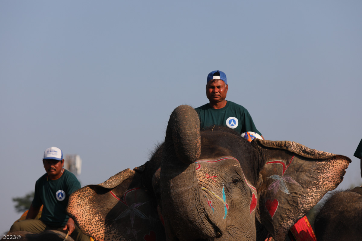 elephant_festival_SunilPradhan_12khariphoto-(11)-1735217551.jpg