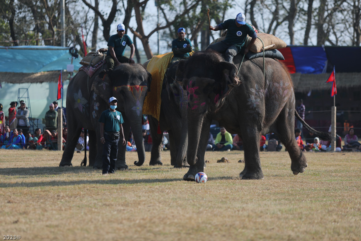 elephant_festival_SunilPradhan_12khariphoto-(15)-1735217553.jpg