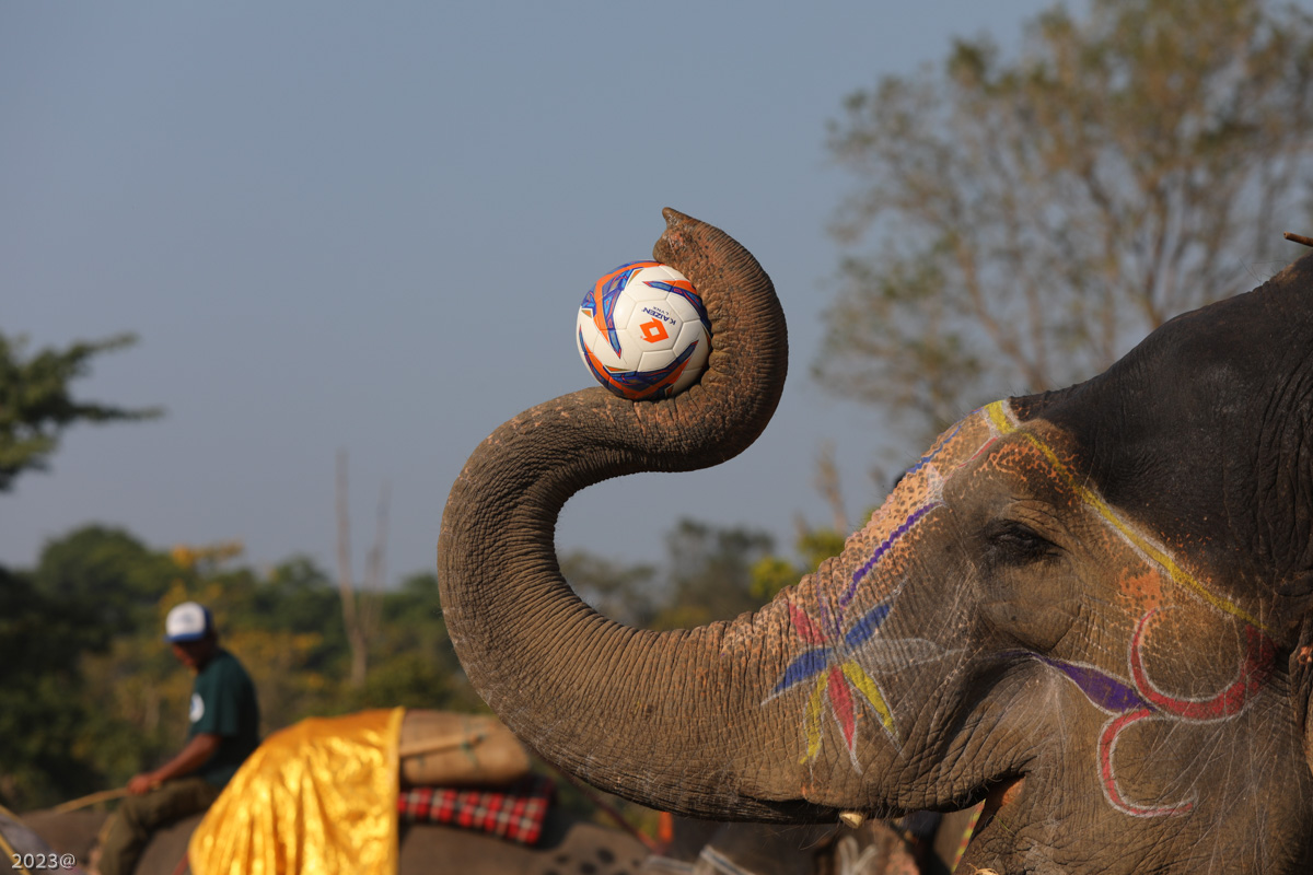 elephant_festival_SunilPradhan_12khariphoto-(16)-1735217554.jpg