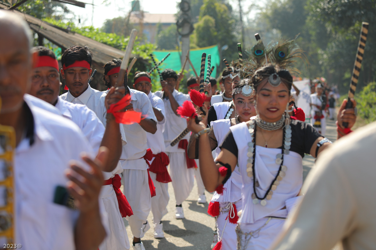 elephant_festival_SunilPradhan_12khariphoto-(5)-1735217539.jpg