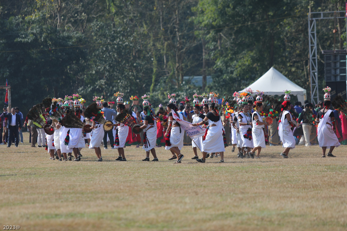 elephant_festival_SunilPradhan_12khariphoto-(7)-1735217545.jpg