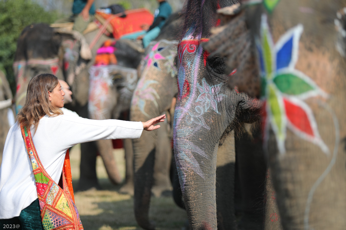 elephant_festival_SunilPradhan_12khariphoto-(8)-1735217547.jpg