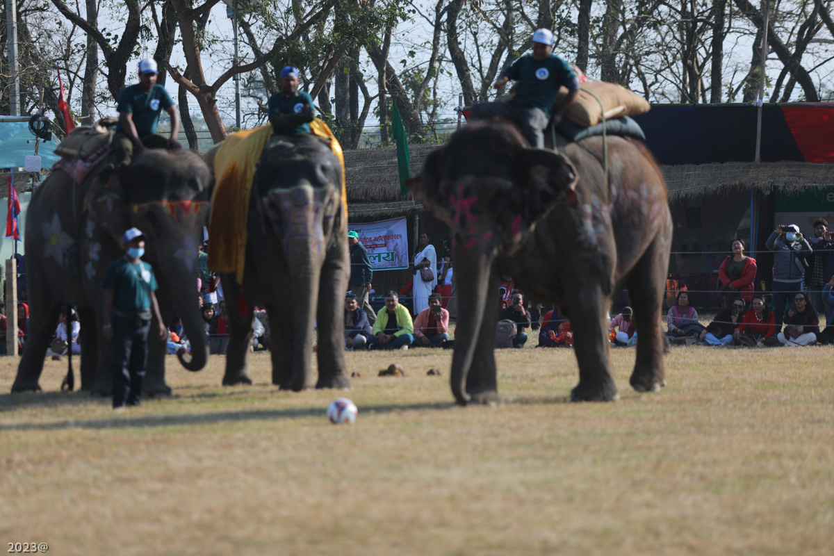 elephant_festival_SunilPradhan_12khariphoto-(9)-1735217548.jpg