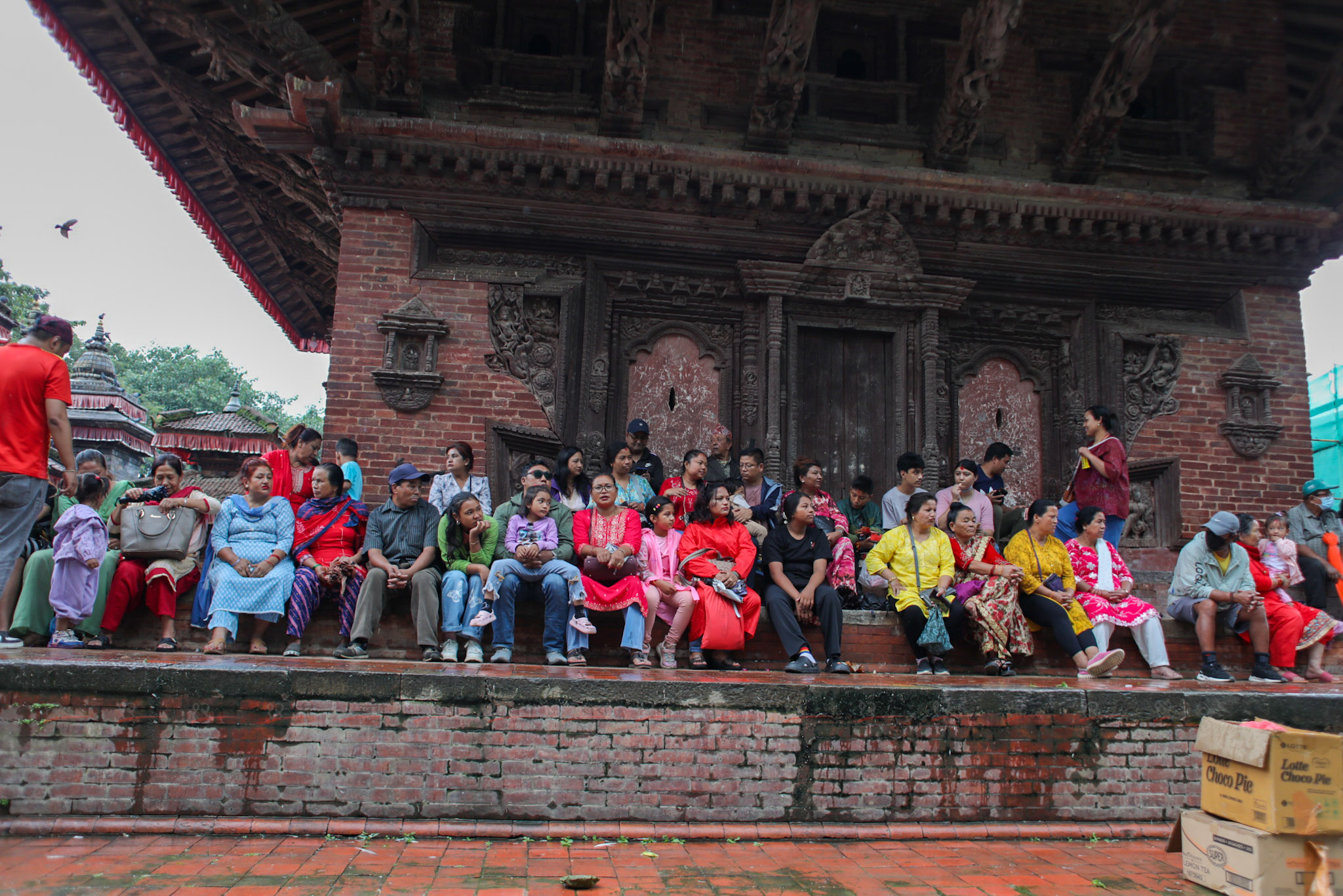 gaijatra_sunilpradhan_12khariphoto-71-1724140081.jpg