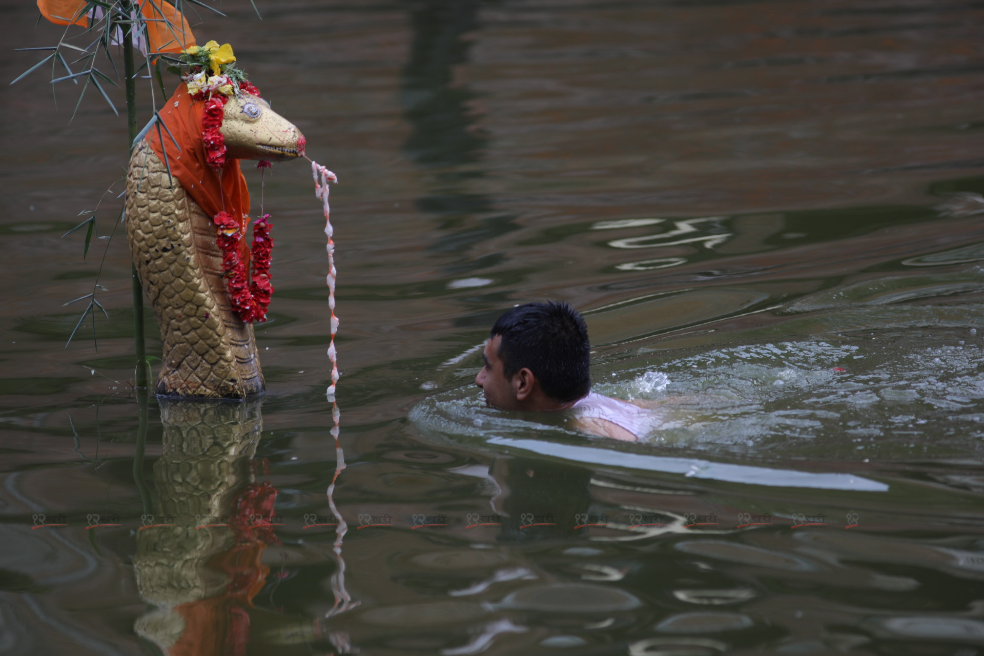 nagpanchami_sunilpradhan_12khariphoto-78-1723178199.jpg