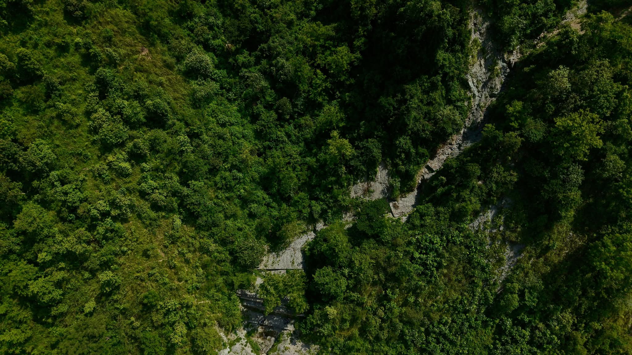 trishuli-nadi-simaltal-(9)-1752313318.jpg