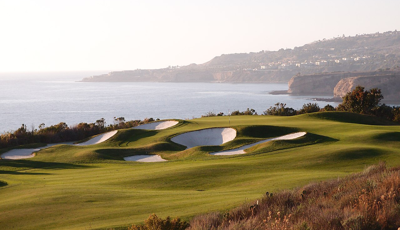 trumpcourse-1749352820.jpg